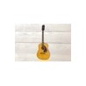 Epiphone Original Texan, Antique Natural, Guitarra Electroacústica con case