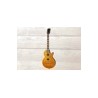 Gibson Slash Les Paul Victoria, Goldtop Dark Back, Guitarra Eléctrica con case