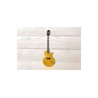 Epiphone Jared James Nichols Gold Glory Les Paul Custom, Double Gold Aged Gloss, Guitarra Eléctrica
